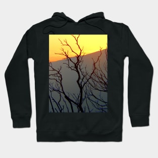 arrábida. wishes Hoodie